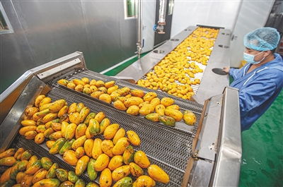 做足做精农产品深加工，激活乡村振兴新引擎