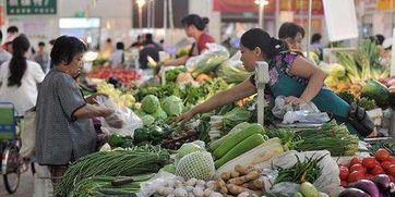 农产品价格上涨的供需透视 从商务部数据看生产端动态